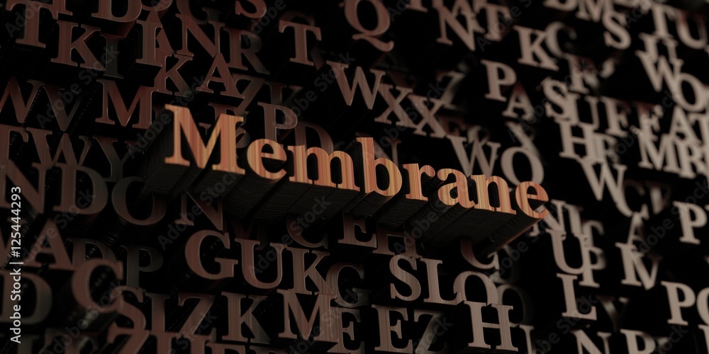 Membrane - Wooden 3D rendered letters/message. Can be used for an online banner ad or a print postcard. Membrane - Wooden 3D rendered letters/message. Can be used for an online banner ad or a print postcard.