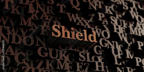 Shield - Wooden 3D rendered letters/message. Can be used for an online banner ad or a print postcard.