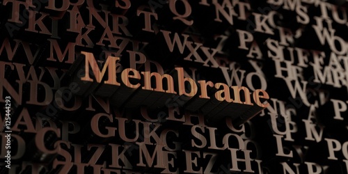 Membrane - Wooden 3D rendered letters/message. Can be used for an online banner ad or a print postcard.