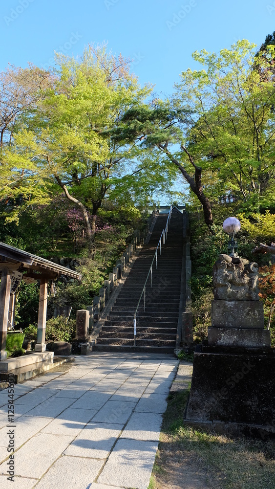 Fototapeta premium Flight of stairs in shrine compound, Japan