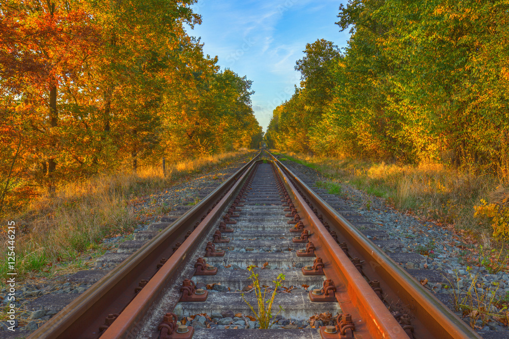 Herbstliche Bahnstrecke / Eisenbahnstrecke zwischen Dannenberg und Hitzacker (Landkreis Lüchow-Dannenberg, Niedersachsen). Aufgenommen am 30. Oktober 2016. Herbstliche Bahnstrecke / Eisenbahnstrecke zwischen Dannenberg und Hitzacker (Landkreis Lüchow-Dannenberg, Niedersachsen). Aufgenommen am 30. Oktober 2016.