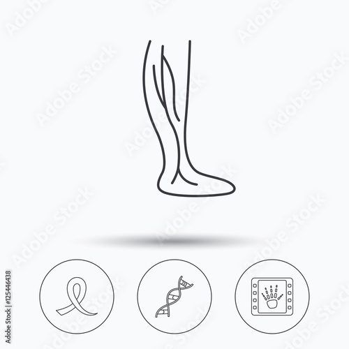 Phlebology, DNA and X-ray icons.