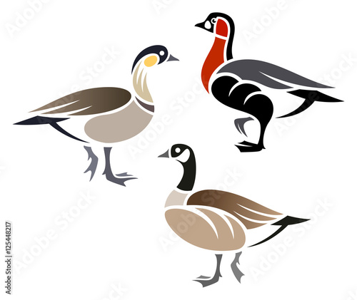 Stylized Geese - Cackling Goose, Hawaiian Goose, Red-breasted Goose
