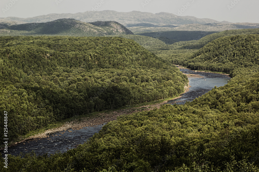 Rich green forested mountains and river in the highlands, top view. Arctic summer, the tundra, Norway. Rich green forested mountains and river in the highlands, top view. Arctic summer, the tundra, Norway.