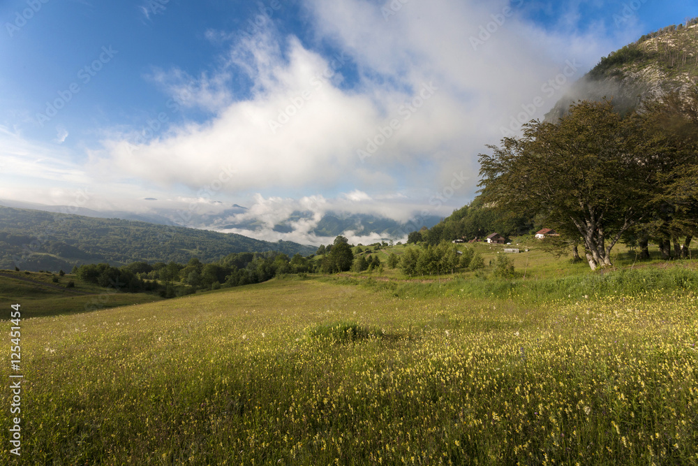 Fototapeta premium carpatians mountains