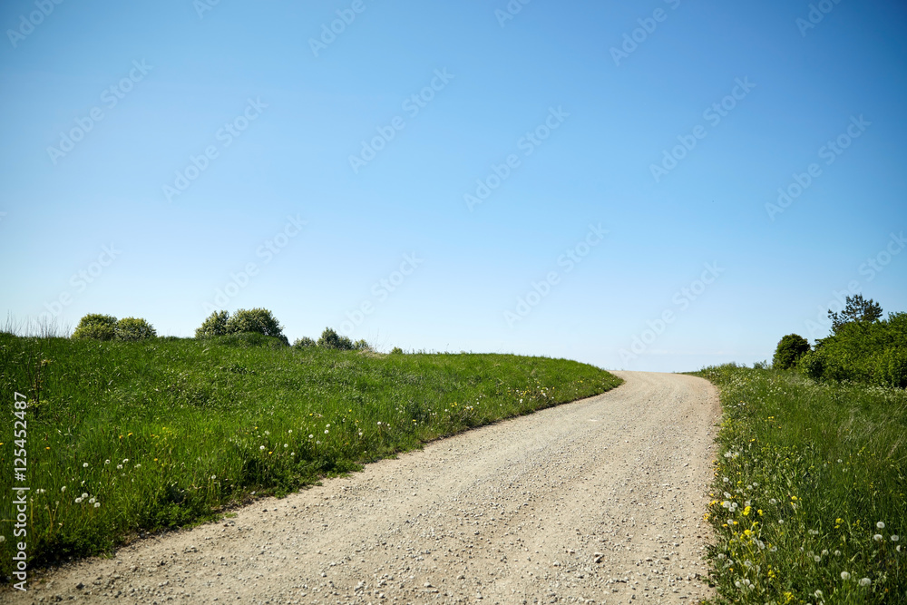 country road at summer