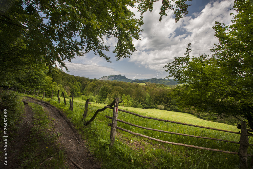 carpatians mountains