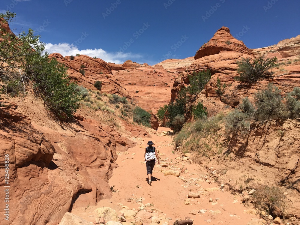 slot canyon, Grand Staircase-Escalante, Utah, USA
slot canyon, Grand Staircase-Escalante, Utah, USA