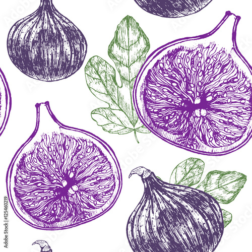 Fig Fruit Hand Draw Sketch Background Pattern. Vector