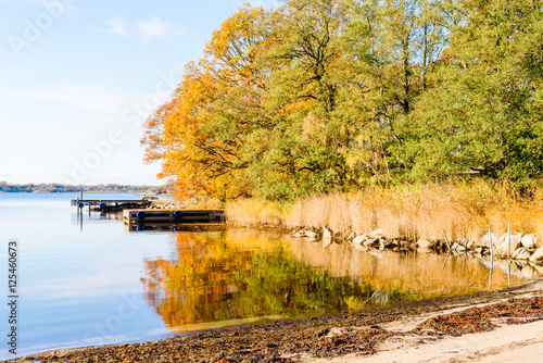Windless and calm sea in fall with colorful trees and fine weather. Jarnavik just outside Ronneby in Sweden. photo