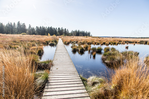 Hohes Venn in Belgien