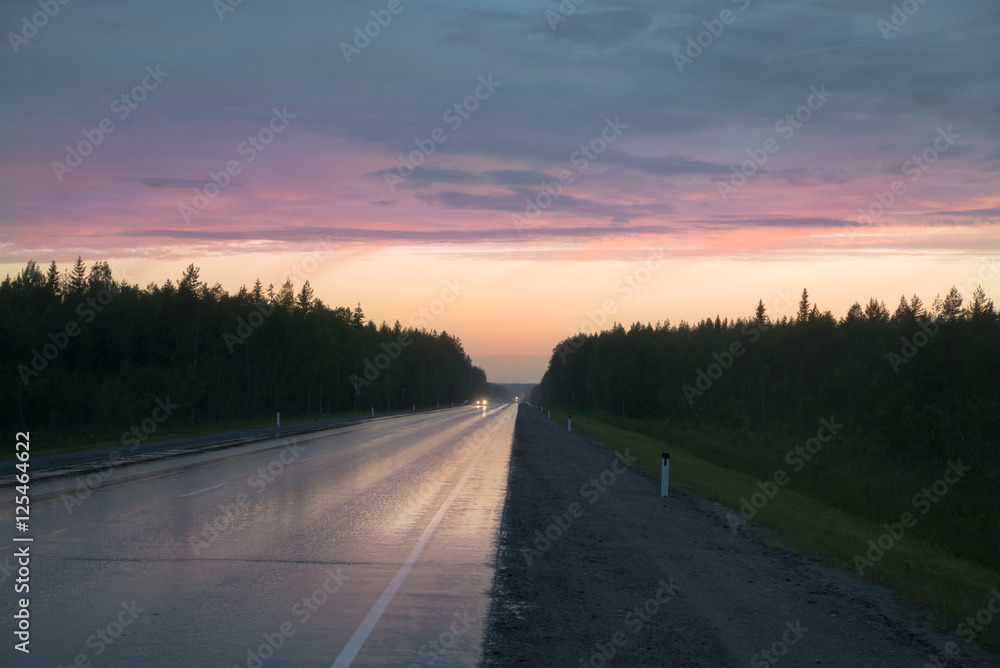 Φωτογραφία country wet road against the background of spruce forest and pink sky