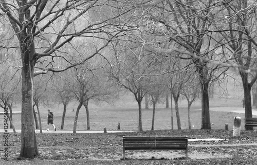 Empty bench in the park