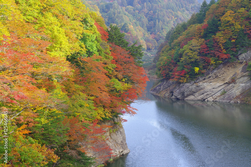 奥裾花渓谷の紅葉