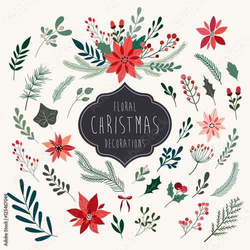 Christmas floral collection with winter decorative plants and flowers