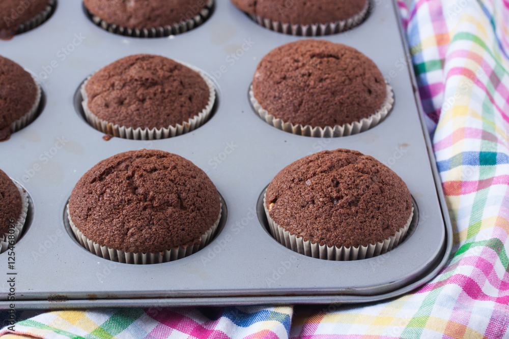 chocolate muffin chocolate muffin