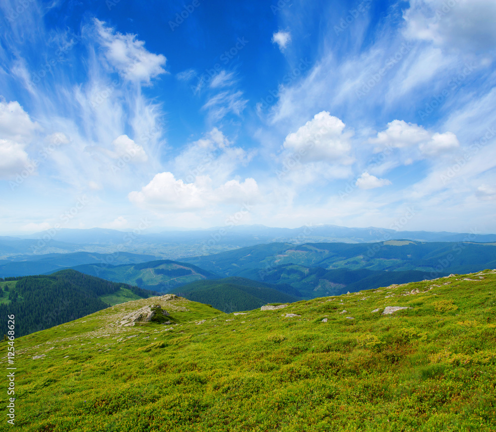 Naklejka premium Mountain landscape in the summer