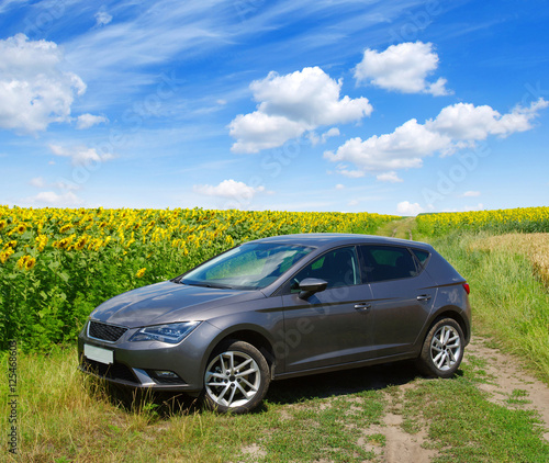 car on a field