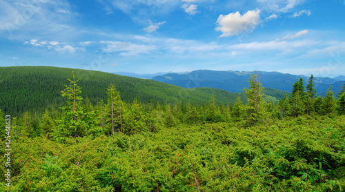 Mountain landscape in the summer