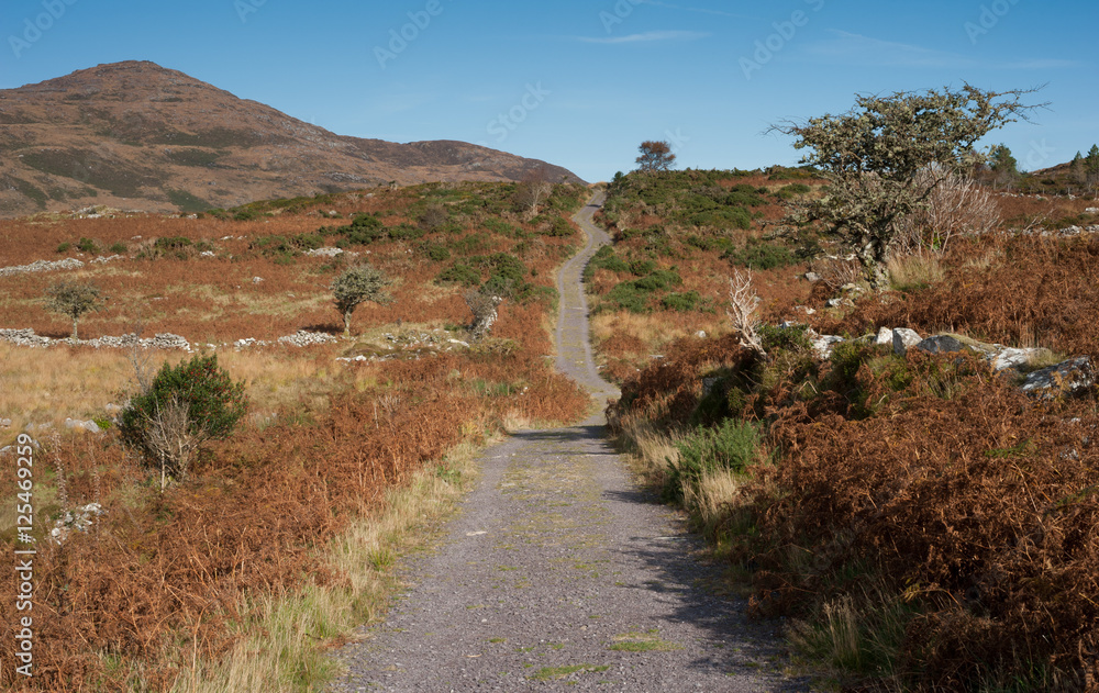 View of the old Kenmore Road trail outside Killarney in the ring of Kerry