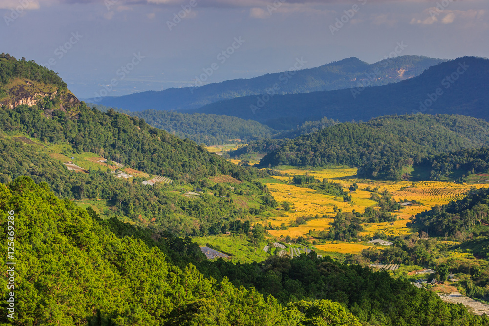 Obraz premium Mount View