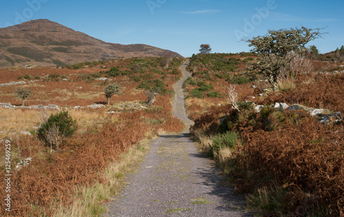 View of the old Kenmore Road trail outside Killarney in the ring of Kerry