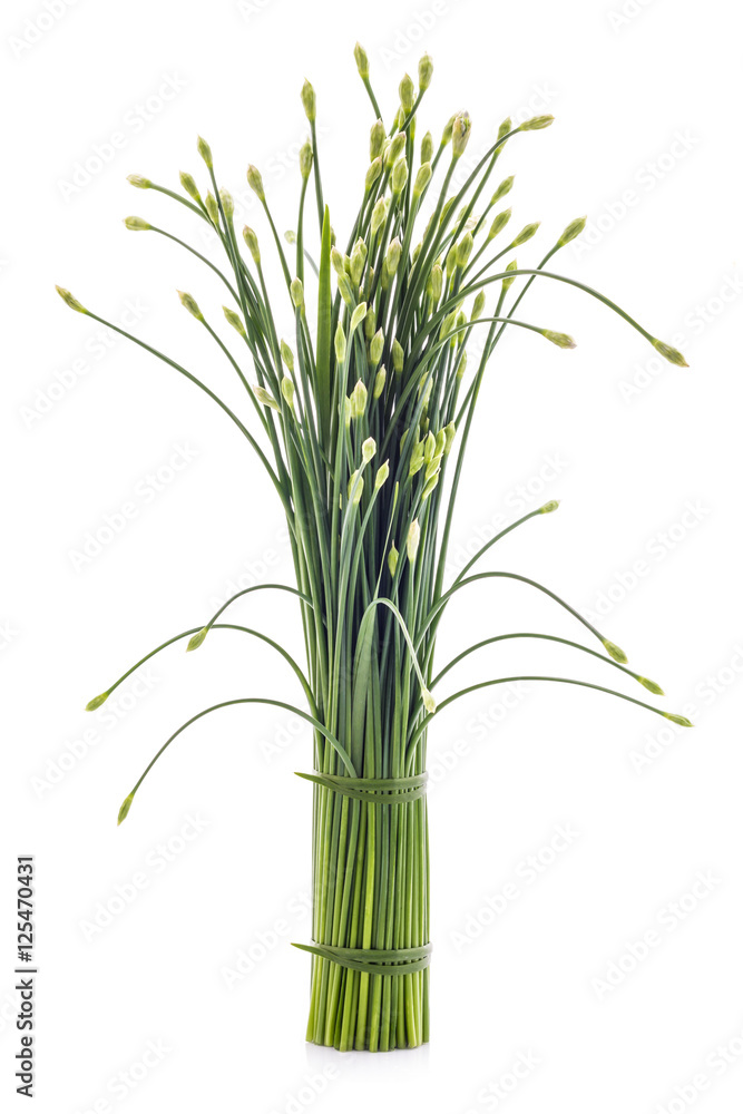 Chives flower or Chinese chive isolated on white background. Edi