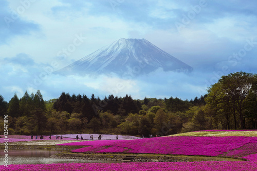Wallpaper Mural Japan Torontodigital.ca