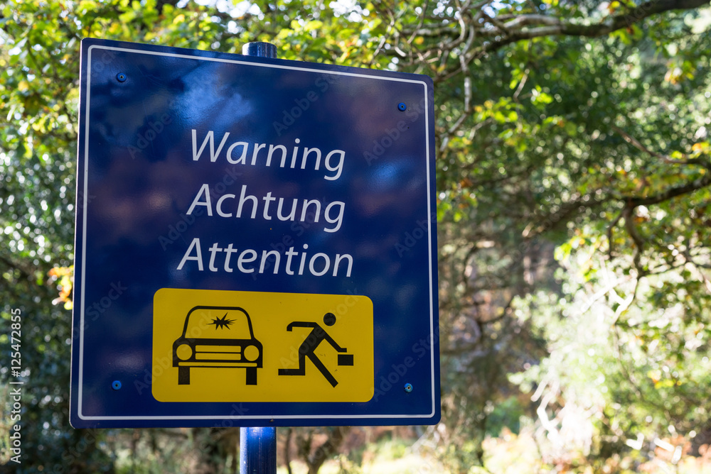 Car theft warning sign in isolated forest parking area 