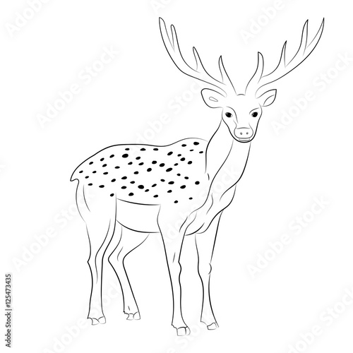 Hand Drawn Spotted Reindeer. Sketch Cute Deer Isolated on White.Vector Illustration. © nofretka