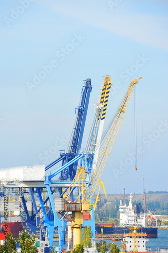 Port cargo crane