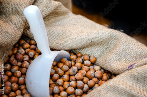 Cuadro en lienzo "Nocciola Piemonte Igp", also known as "Tonda Gentile di Langa", hazelnut variet