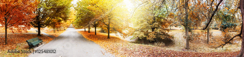 Goldene Herbstlandschaft ím Greenwich Park in London