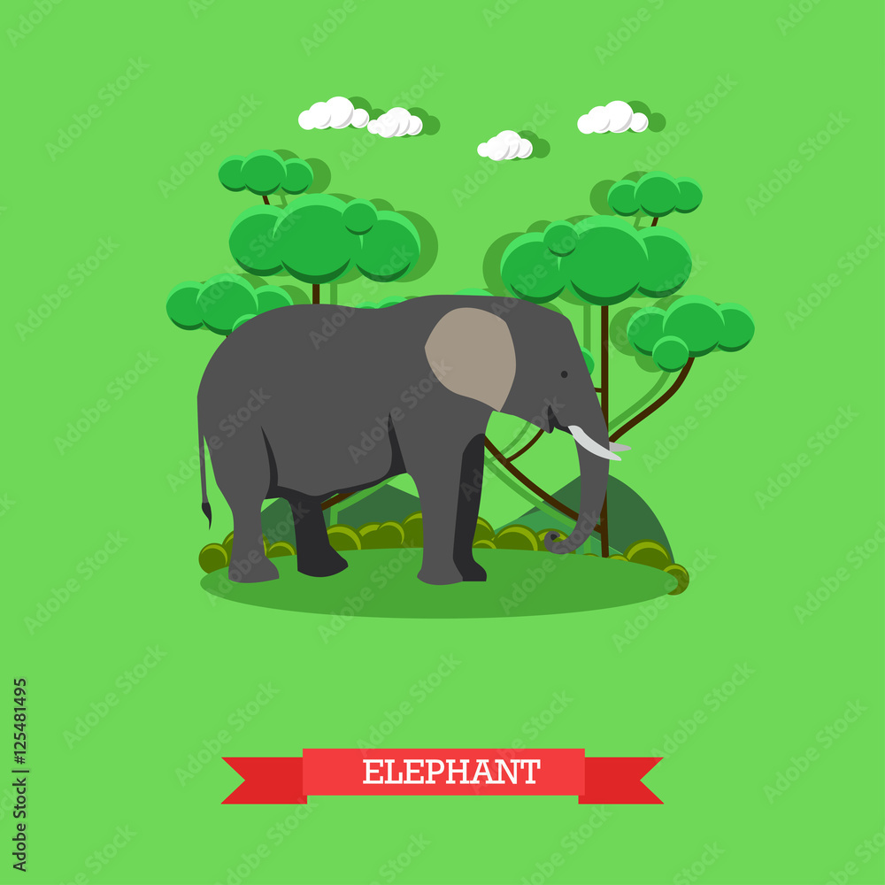 Zoo concept banner. Wildlife elephant animal. Vector illustration in flat style design