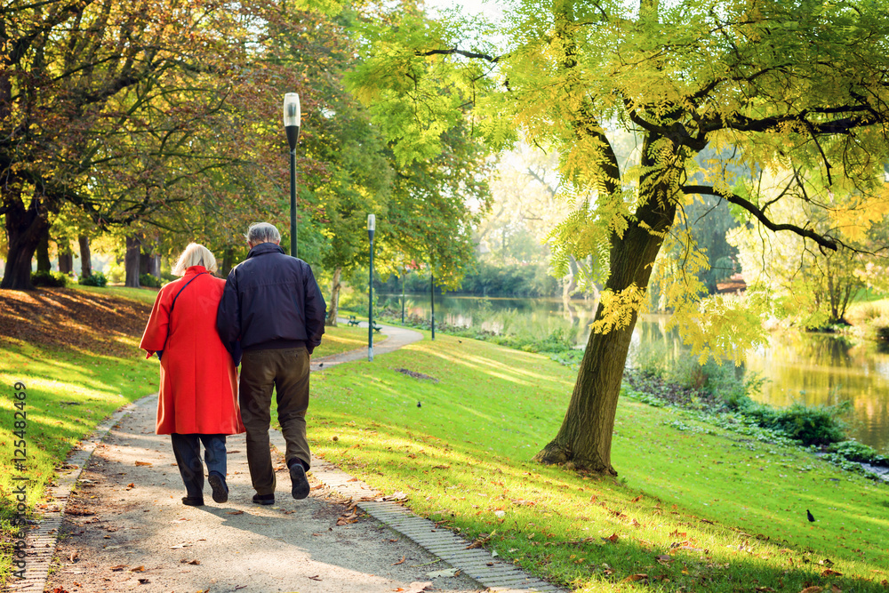 Fototapeta premium Senior couple walking in a park in Bruges, Belgium on Sunny autumn morning. Autumn colors.