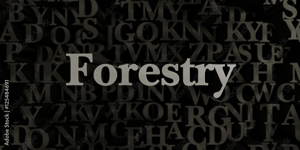 Forestry - Stock image of 3D rendered metallic typeset headline illustration.  Can be used for an online banner ad or a print postcard.