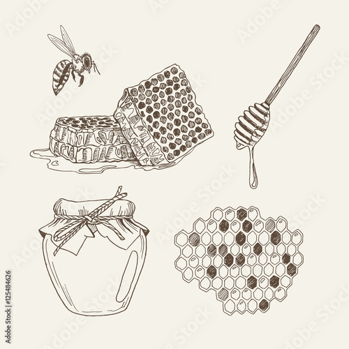 Retro illustrations of elements: honeycomb, bee, honey dipper and jar. Vector vintage set in woodcut style.