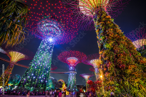Photography Singapore Supertree Light Show