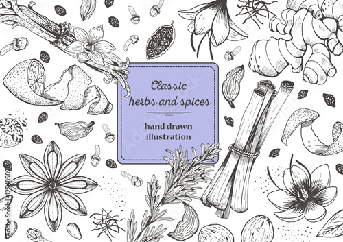 Spice and herbs top view frame. Vintage hand drawn sketch vector illustration. White background. Vector Design template.