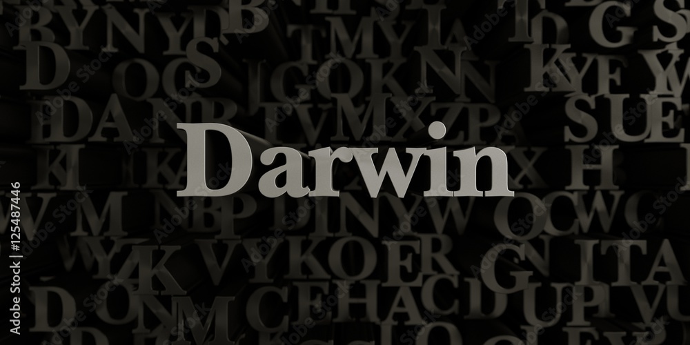 Darwin - Stock image of 3D rendered metallic typeset headline illustration.  Can be used for an online banner ad or a print postcard.