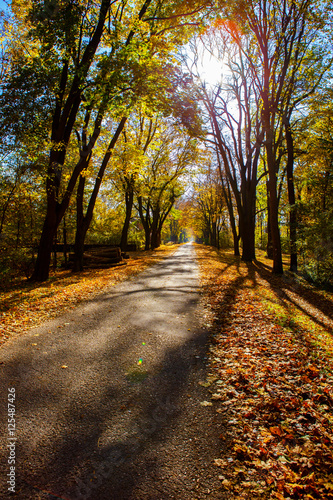 Herbstwald im Sonnenschein © stefanwasner