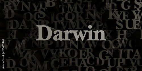 Darwin - Stock image of 3D rendered metallic typeset headline illustration.  Can be used for an online banner ad or a print postcard.