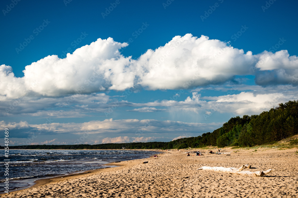 comfortable beach of the baltic sea with rocks and green vegetat comfortable beach of the baltic sea with rocks and green vegetat