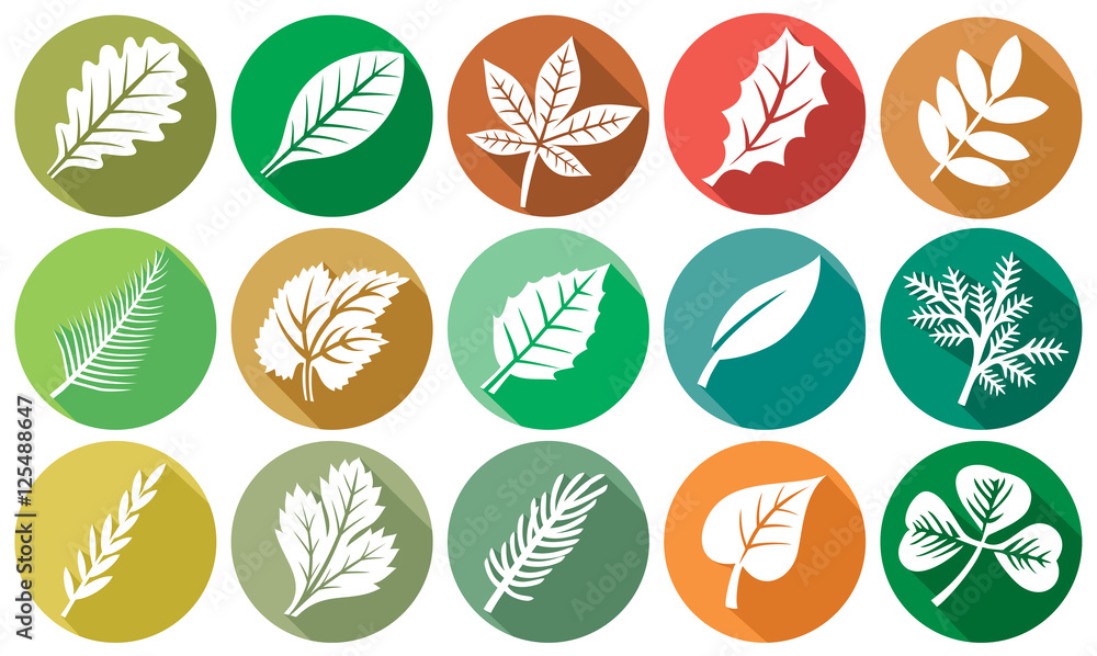 leaf flat icons set leaf flat icons set