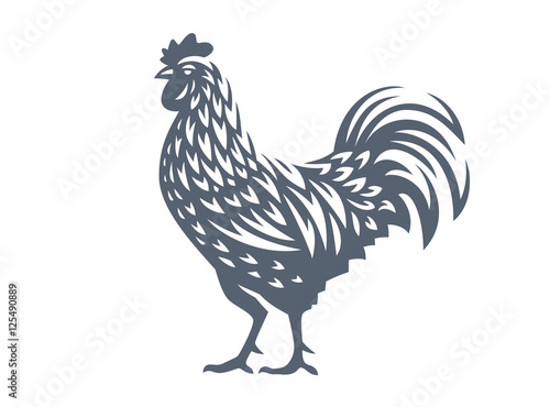 Fotografia, Obraz Vector illustration of rooster