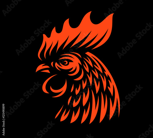 Fototapeta Head rooster illustration on dark background