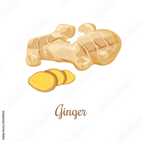 Fresh ginger and slices illustration