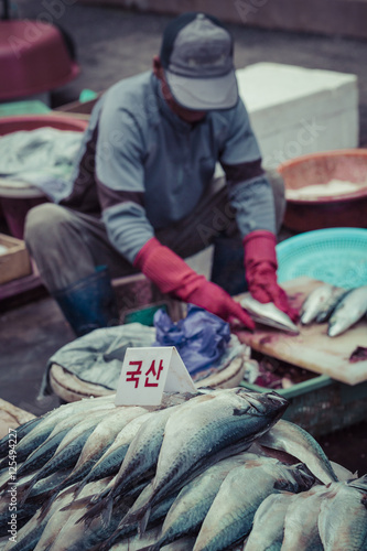 Fresh fish and seafood at Jagalchi Fish market, Busan, South Korea.