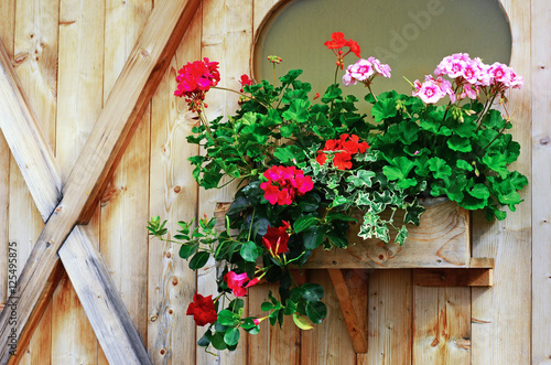 Fototapeta Naklejka Na Ścianę i Meble -  Flowers in South Tyrol Italy - Italy