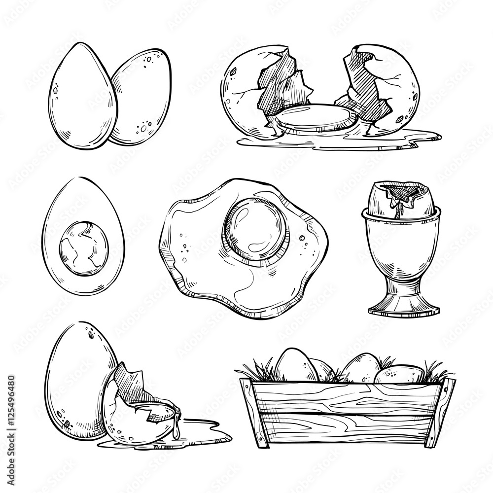 Hand drawn vector illustration Set of eggs. Scrambled egg, omelet